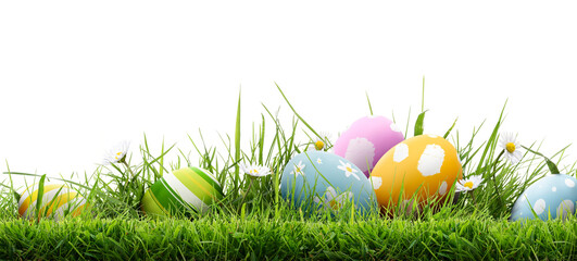 A collection of 6 painted easter eggs template celebrating a Happy Easter with cut green meadow grass & daisies with a transparent background.