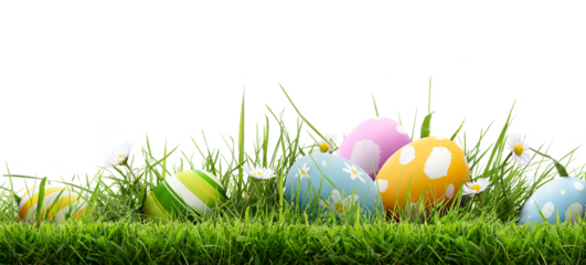 A collection of 6 painted easter eggs template celebrating a Happy Easter with cut green meadow grass & daisies with a transparent background.