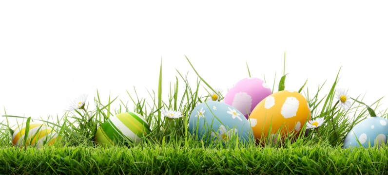 A collection of 6 painted easter eggs template celebrating a Happy Easter with cut green meadow grass & daisies with a transparent background.