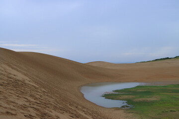 鳥取砂丘のオアシス「馬の背」