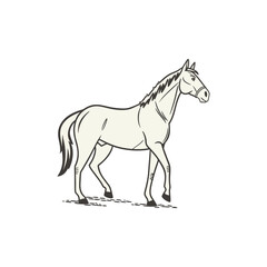 horse vector art and illustration 