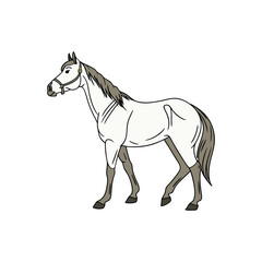 horse vector art and illustration 