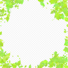 Fototapeta premium SpringL29.eps