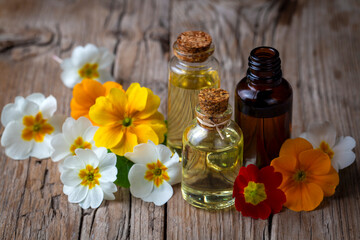 Organic cosmetics, Primula natural oil, handmade with herbal and primrose flower extracts in glass bottles
