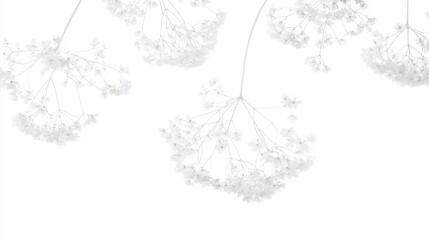 Obraz premium A growing plant with a clean white background, symbolizing environmental protection, sustainability, and nature. Very suitable for showcasing natural, organic, and environmentally friendly products.