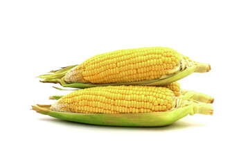 Single ear of corn isolated on white background as package design element.and make clipping path
