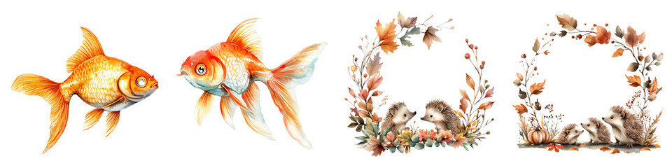 cute animal concept. Colorful goldfish with decorative frames featuring aquatic elements and nature themes. on Transparent background.
