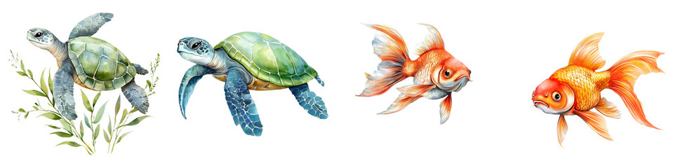 Fototapeta premium cute animal concept. Colorful aquatic animals including turtles and goldfish on Transparent background.