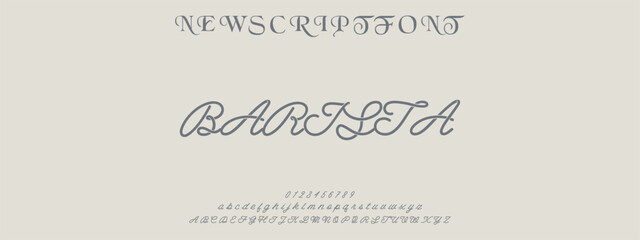 signature Font Calligraphy Logotype Script Brush Font Type Font lettering handwritten