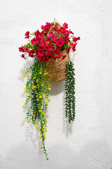 A handing basket with flowers and grenery in Altea, Spain against a white wall