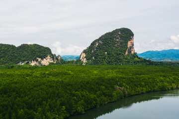 Aerial scenery view of mangroves forest, river canals and mountains. Bird's eye view of beautiful panoramic nature landscape of tropical water jungle on Ao Phang Nga bay National Park, Thailand