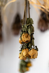 dried rose for Christmas decoration