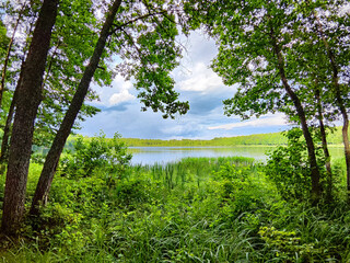 Serene view of a tranquil lake surrounded by lush greenery on a sunny day in early summer