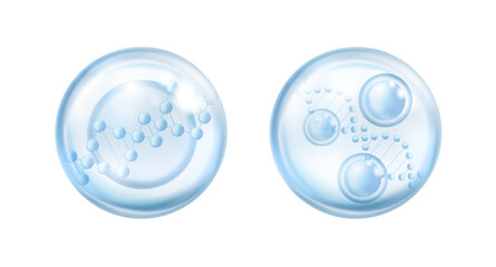 Water or collagen serum bubble with dna structure, molecule of moisturizing and rejuvenating cosmetics. Vector isolated realistic drop with vitamins and minerals, essence for healthy skin care