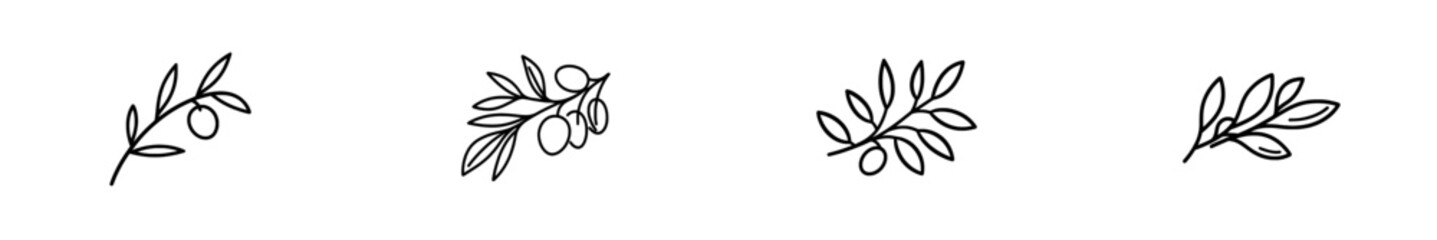 Engraving-style illustration of an olive brunch, suitable for posters, collages, and banners.