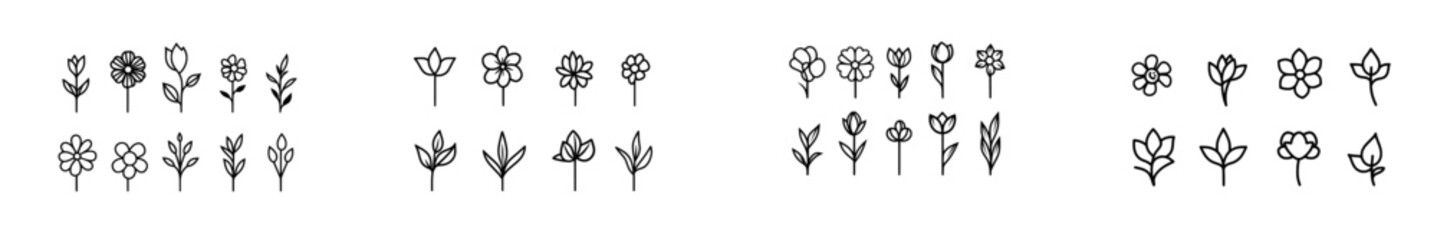 A hand-drawn ink sketch of various flowers in an engraved, modern illustration style.