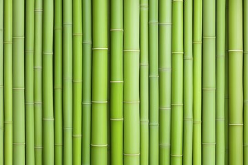 Obraz premium Mindful Walking Through a Bamboo Grove Nature Scene Tranquil Environment Close-Up View