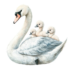 Obraz premium A graceful swan carrying three fluffy cygnets on its back, showcasing a tender moment between mother and her young.
