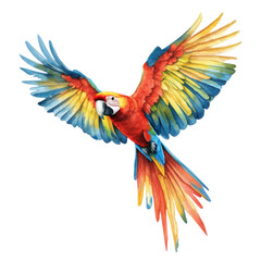 Fototapeta premium A vibrant and colorful macaw in mid-flight, showcasing its striking feathers against a white isolated background.