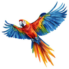 Obraz premium A vibrant macaw in flight, showcasing brilliant blue, red, and yellow feathers against a white isolated background.