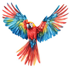 Fototapeta premium A vibrant, colorful parrot with outstretched wings, showcasing stunning red, blue, and yellow feathers. Perfect for wildlife enthusiast themes.