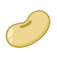 Soybean vector