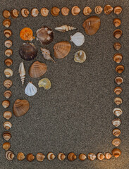 shell, sea, sea shells, beach, sand, background, summer, seashell, ocean, tropical, frame, nature, copy, texture, marine, natural, space, relaxation, travel, vacation, starfish, coast, caribbean beach