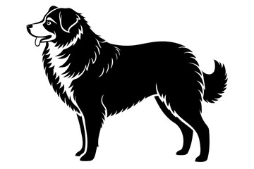 Australian Shepherd Silhouette Vector Illustration of a Dog Standing with a Slightly Fluffy Coat