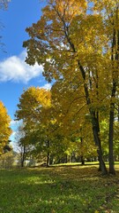 Sunny day in the park 