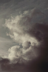 Cielos