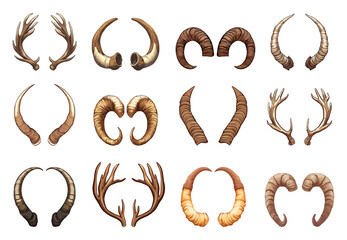 Obraz premium Animal horns set. Pair of wild parnopod horns. Various species. Ram deer elk buffalo goat anthilope. Symbol of strength power and aggression. Educational poster material. Cartoon style isolated vector