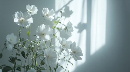 Obraz premium Elegant White Bouquet Arrangement on a Soft Plain Background with Gentle Shadows and Natural Light Display