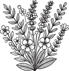 A branch of botanical collection simplicity, artistic, coloring book for children and adults, fantasy Lavender wall decor, Lavender flower doodle, and sticker