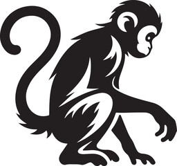 Monkey vector image