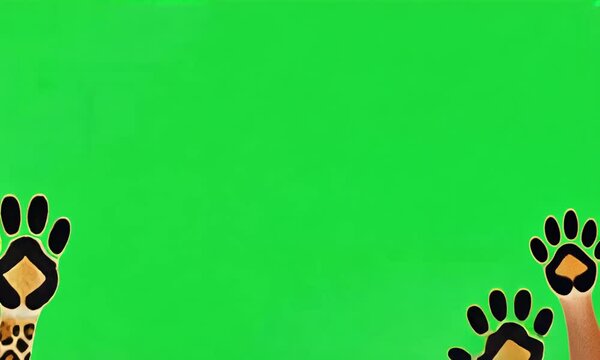 Leopard footprints appearing and fading along the sides