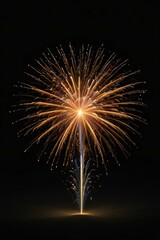 fireworks in the night sky