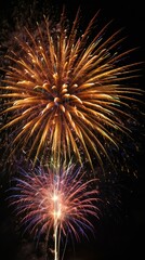 fireworks in the night sky