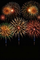 fireworks in the night sky