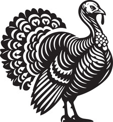 Turkey entangle vector image