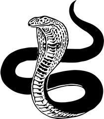 black and white snake
