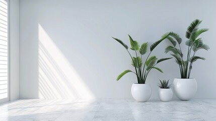 Minimalist white interior with modern furniture, decorative plants, and soft natural lighting.