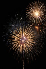 Obraz premium fireworks in the night sky