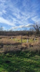 landscape in the mountains