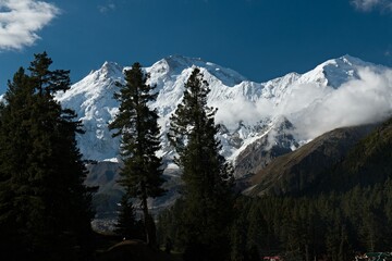View of Nanga Parbat 8,125 meters high and Ganalo Peak 6,606 meters high from Fairy Meadows. Rakhiot Valley. Himalayas. Gilgit-Baltistan region. Pakistan. Asia.