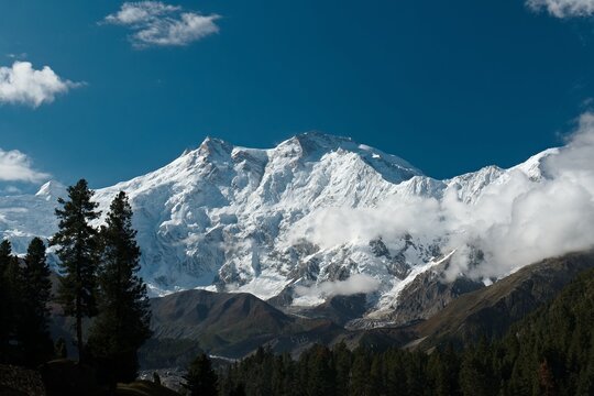 View of Nanga Parbat 8,125 meters high and Ganalo Peak 6,606 meters high from Fairy Meadows. Rakhiot Valley. Himalayas. Gilgit-Baltistan region. Pakistan. Asia.