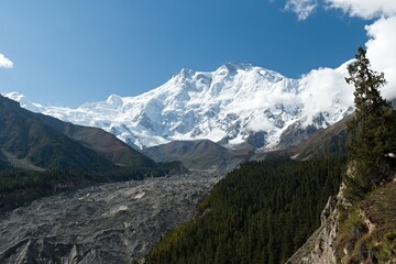 Obraz premium View of Chongra Peak, Rakhiot Peak, Nanga Parbat and Ganalo Peak from Eagles Nest lookout near Fairy Meadows. Rakhiot Valley. Himalayas. Gilgit-Baltistan region. Pakistan. Asia.