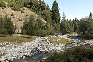 Landscape in Fairy Meadows National Park. Rakhiot Valley. Himalayas mountains. Gilgit-Baltistan region. Pakistan. Asia.