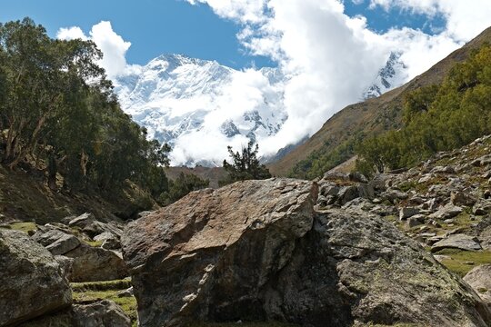 View of the Nanga Parbat mountain massif, North peak 7,816 meters high from Behal village. Rakhiot valley. Himalayan mountains. Gilgit-Baltistan region. Pakistan. Asia.