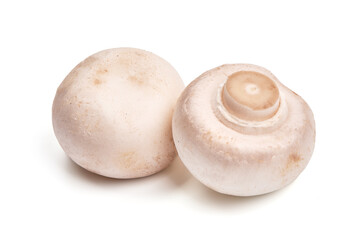 Champignon mushrooms, isolated on white background.