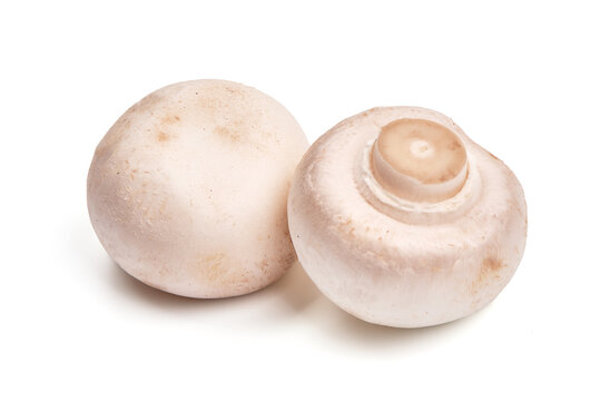 Champignon mushrooms, isolated on white background.